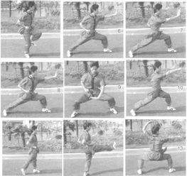 少林八步连环拳教学视频,一招一式，步步为营的武术精髓解析