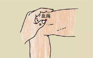 血海穴视频,揭秘人体养生之要穴